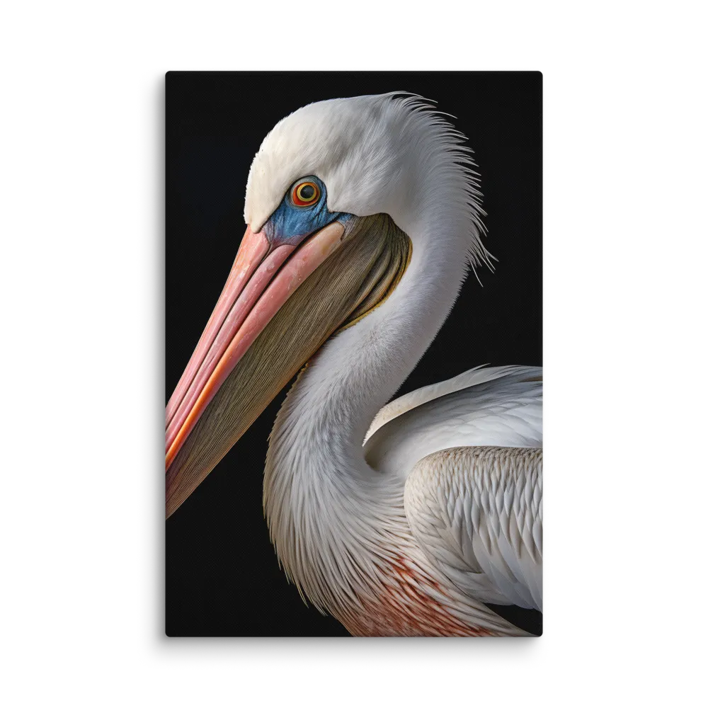 Elegance in White: The Pelican | Canvas | 16″×24″
