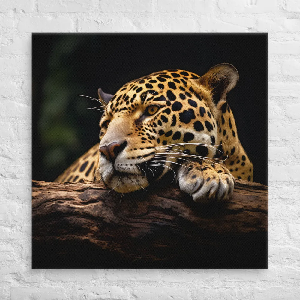 Tranquil Majesty: The Resting Leopard | Canvas | 37″×37″