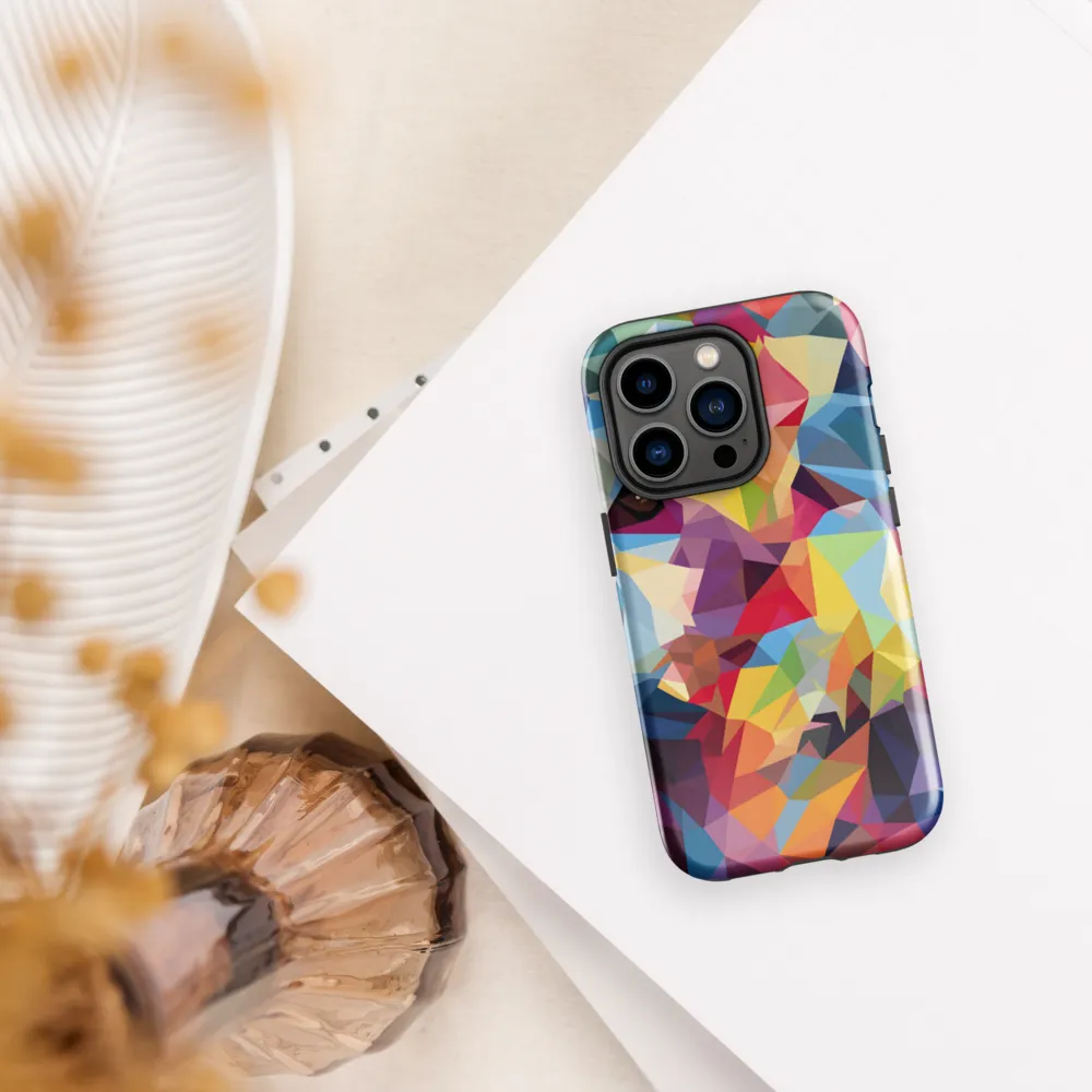 Playful Geometry: The Bear's Face