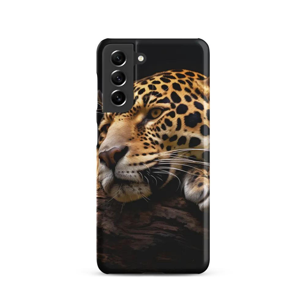 Tranquil Majesty: The Resting Leopard