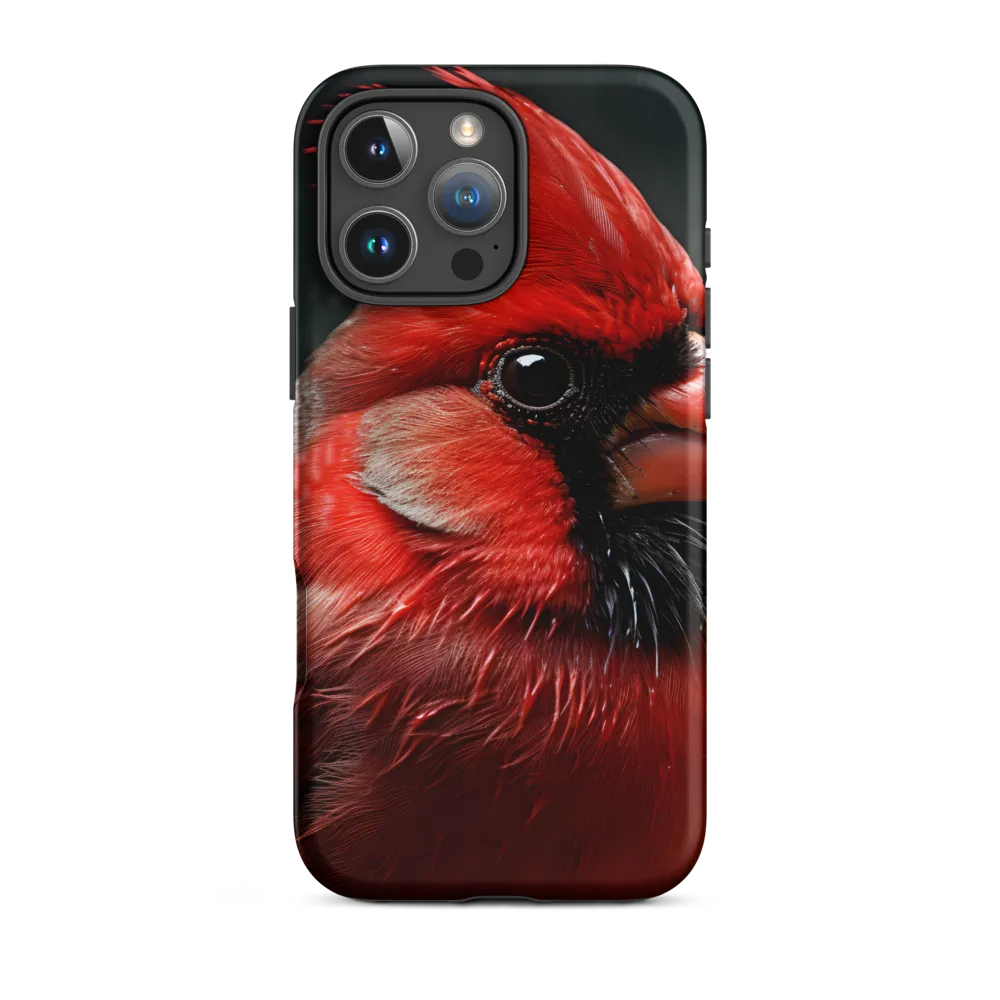 The Bold Cardinal