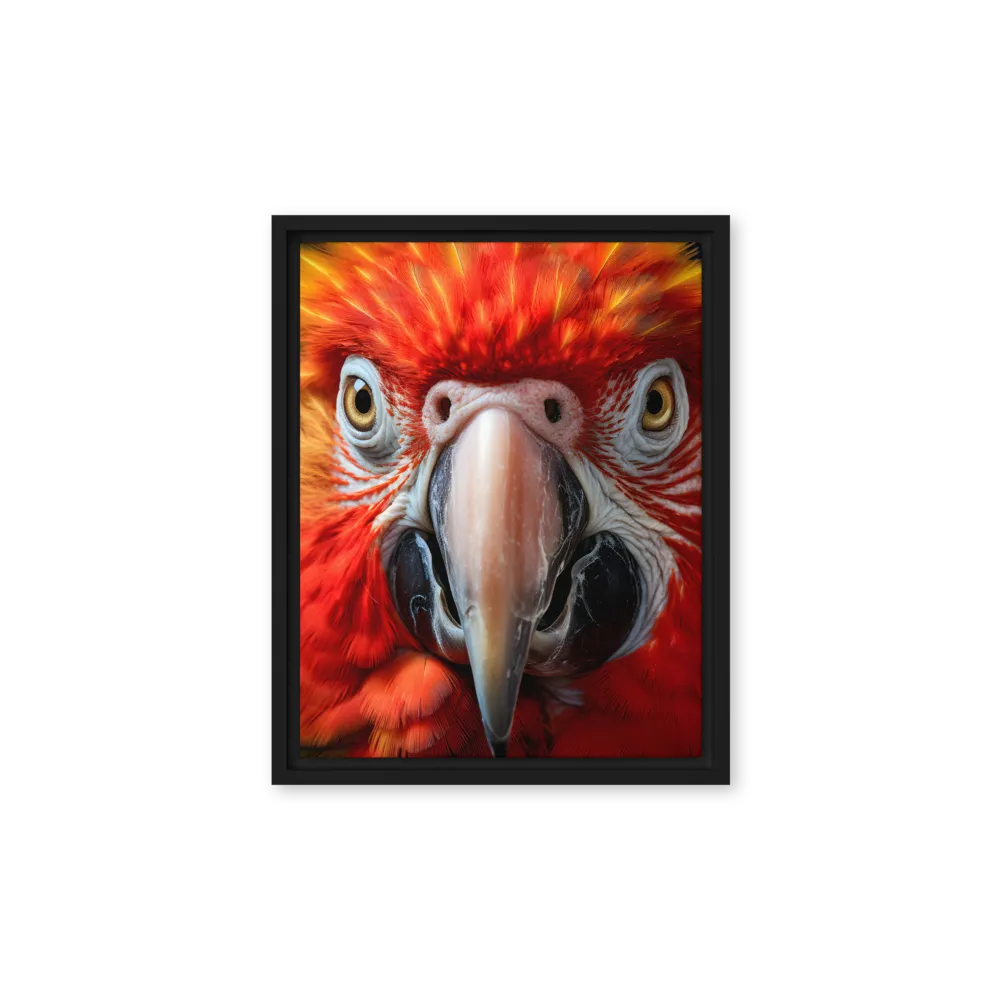 The Fiery Gaze of the Parrot