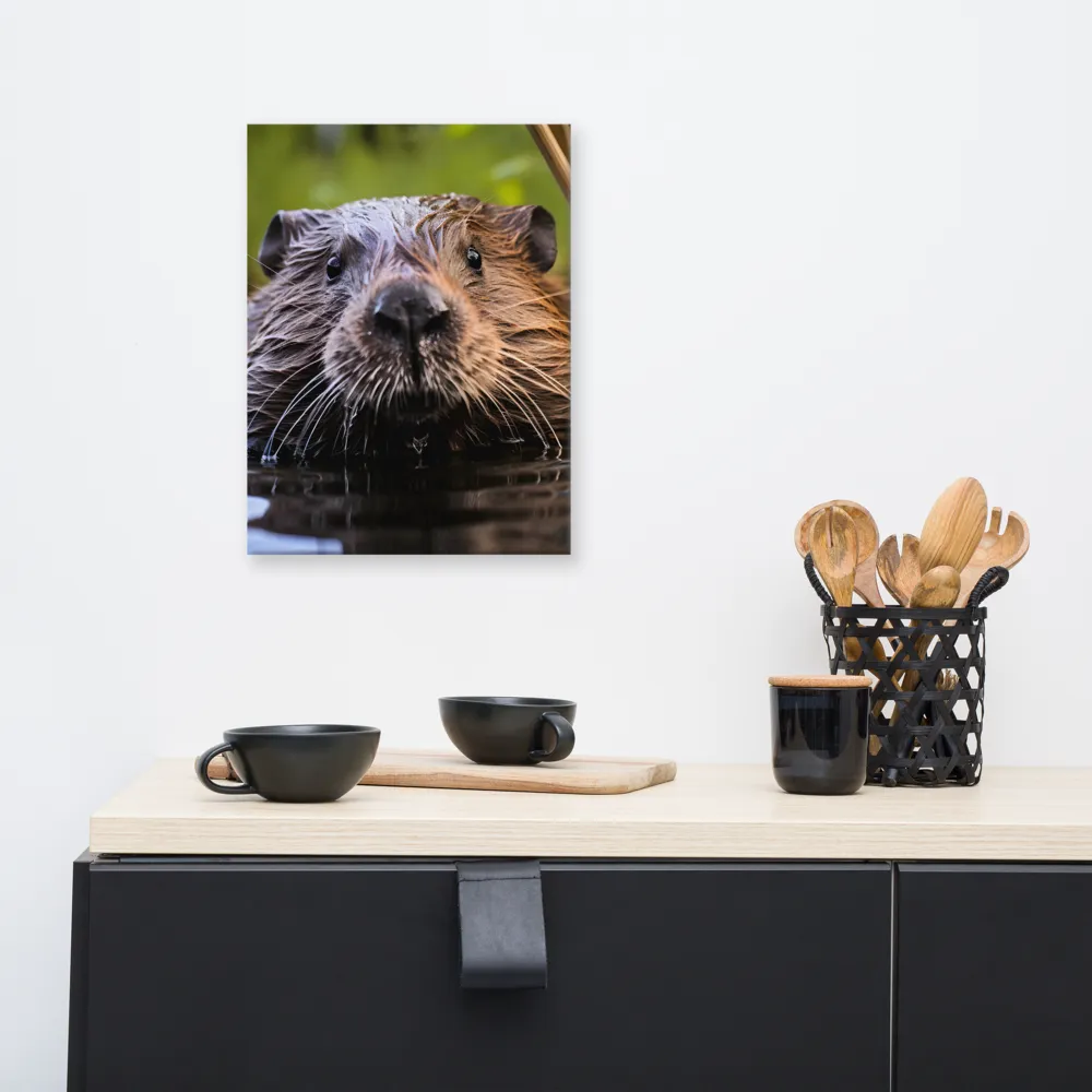 Emergence of the Beaver