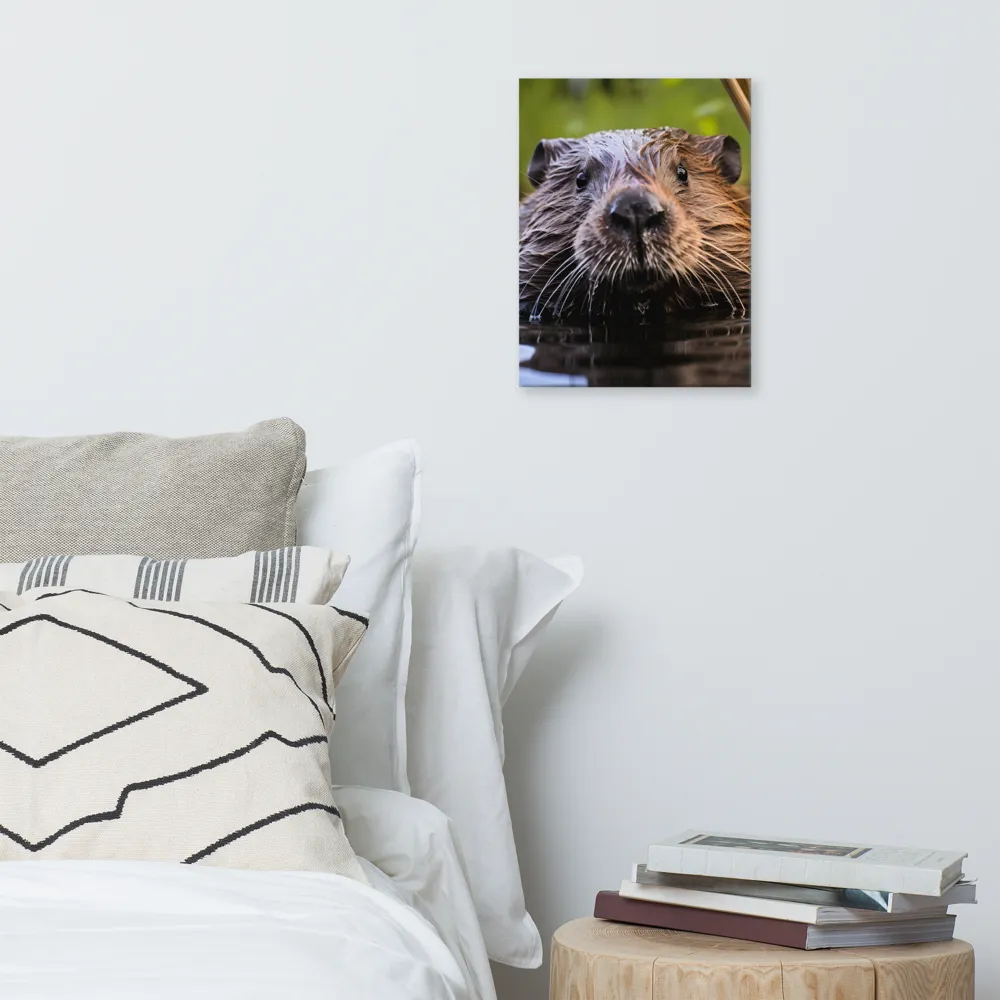 Emergence of the Beaver