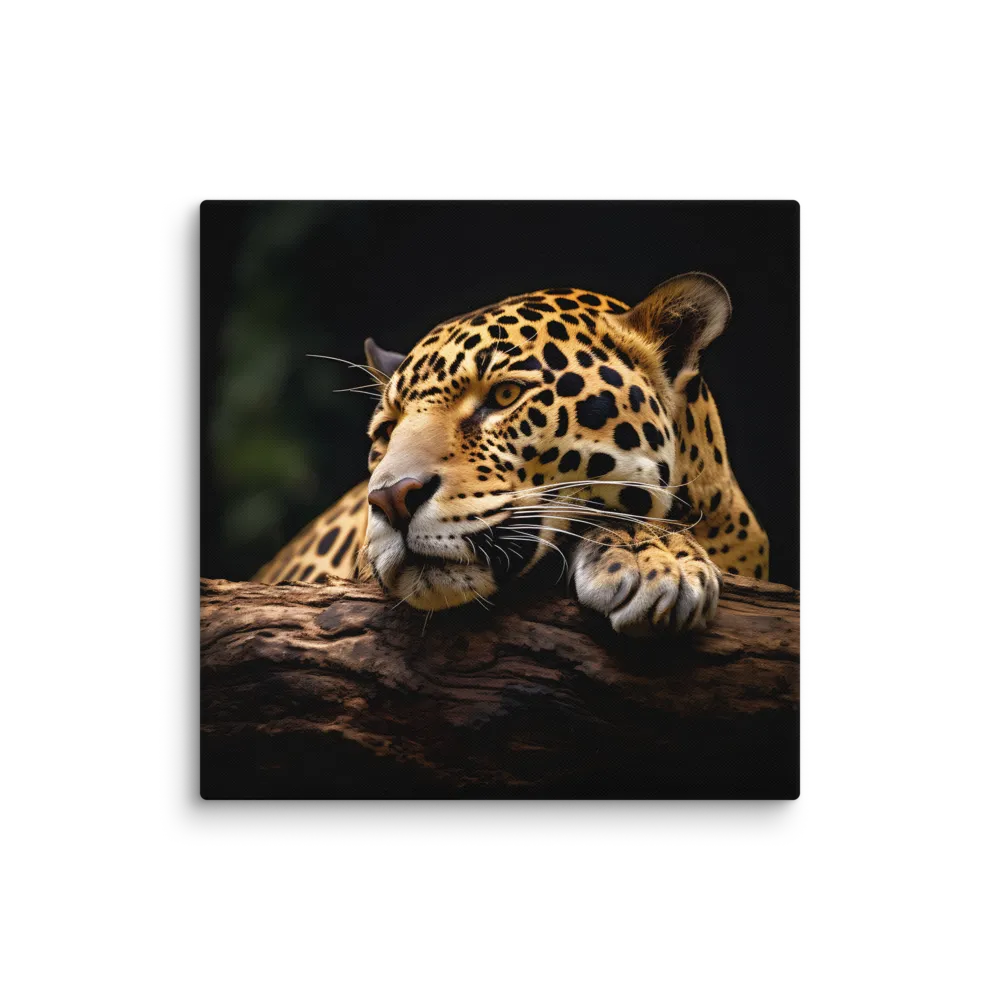 Tranquil Majesty: The Resting Leopard | Canvas | 28″×28″