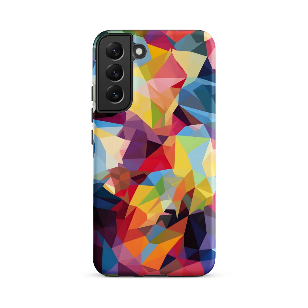 Playful Geometry: The Bear's Face