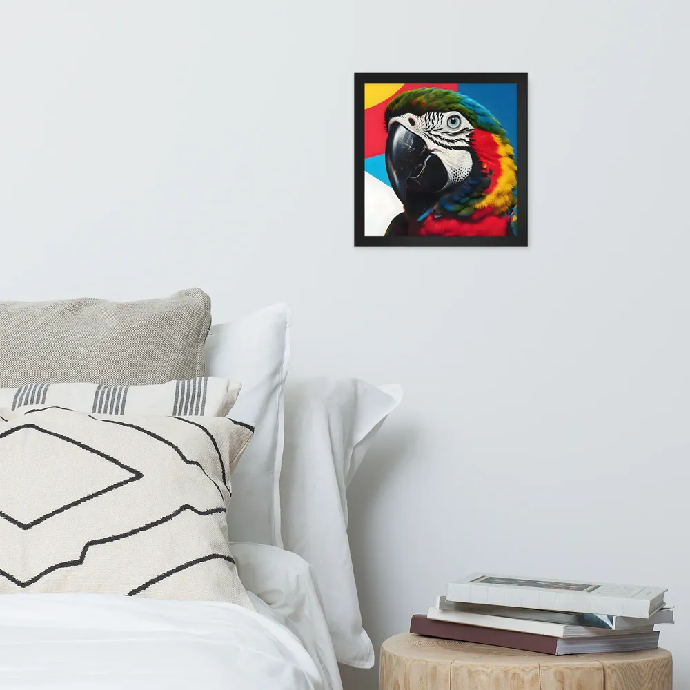 Scarlet Macaw Close-Up 
 Poster with Black Frame | 12″x 12″