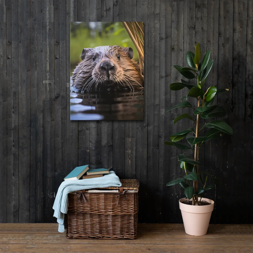 Emergence of the Beaver | Thin Canvas | 24″×32″