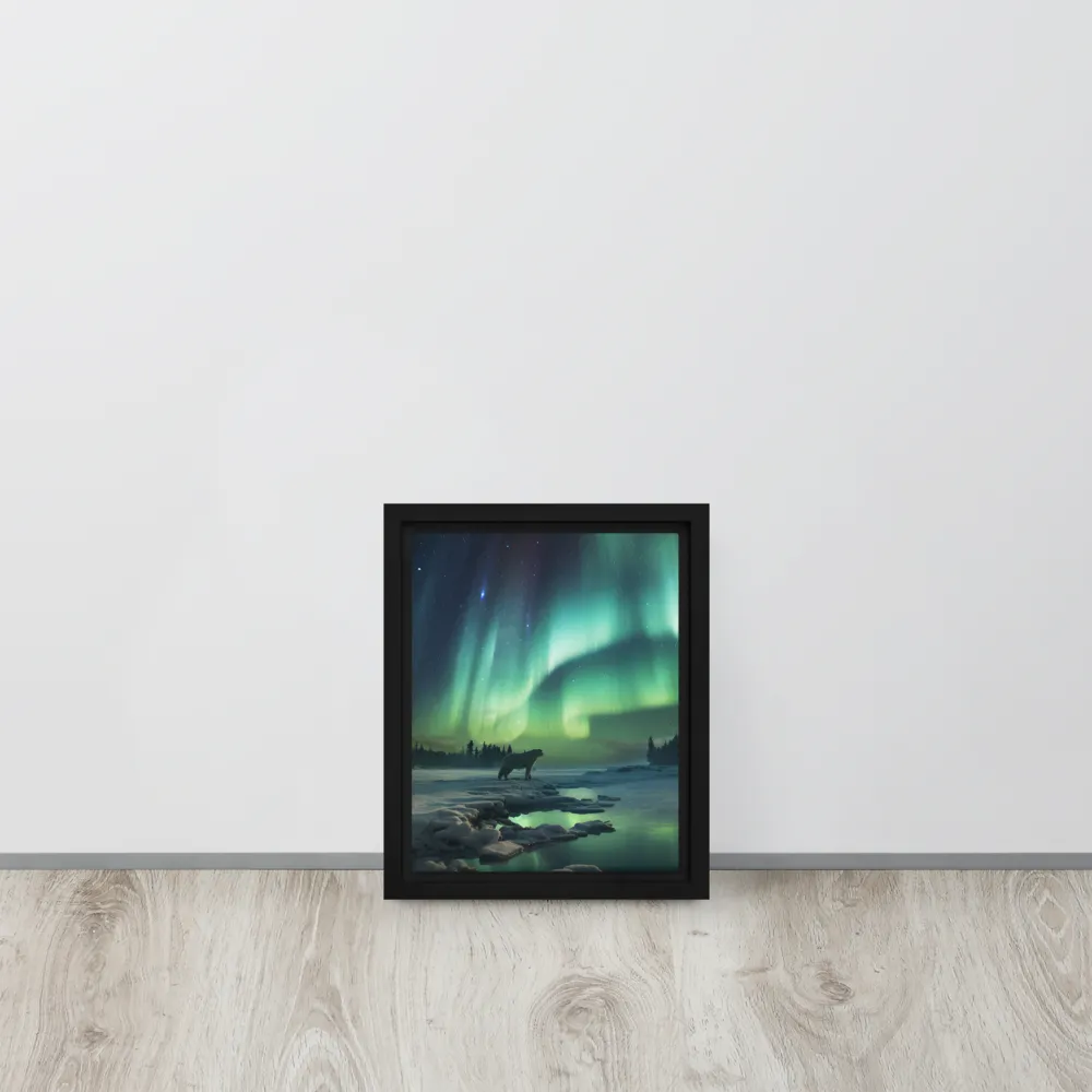 Auroral Guardianship