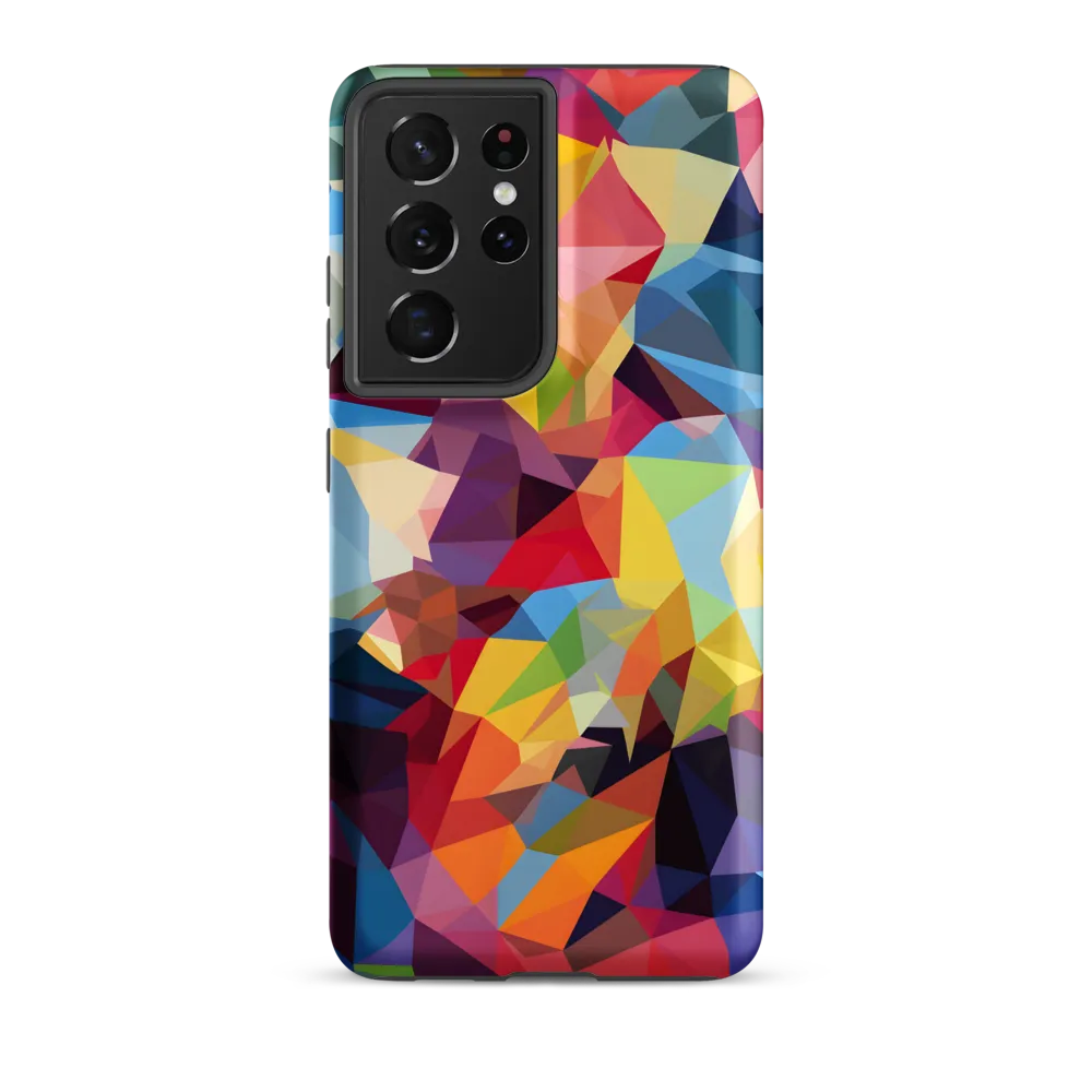 Playful Geometry: The Bear's Face