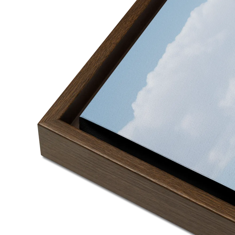 Reflection of Serenity