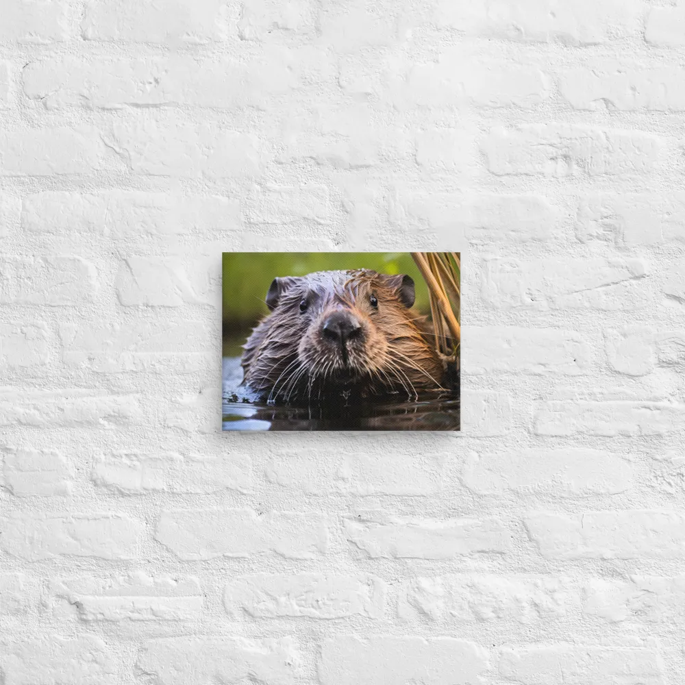 Emergence of the Beaver