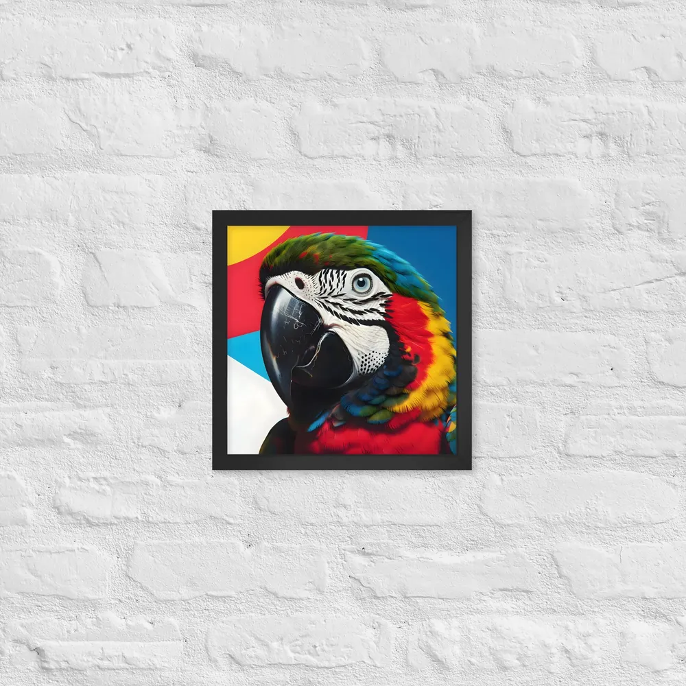 Scarlet Macaw Close-Up 
 Poster with Black Frame | 12″x 12″