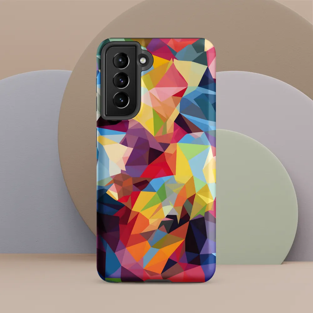Playful Geometry: The Bear's Face