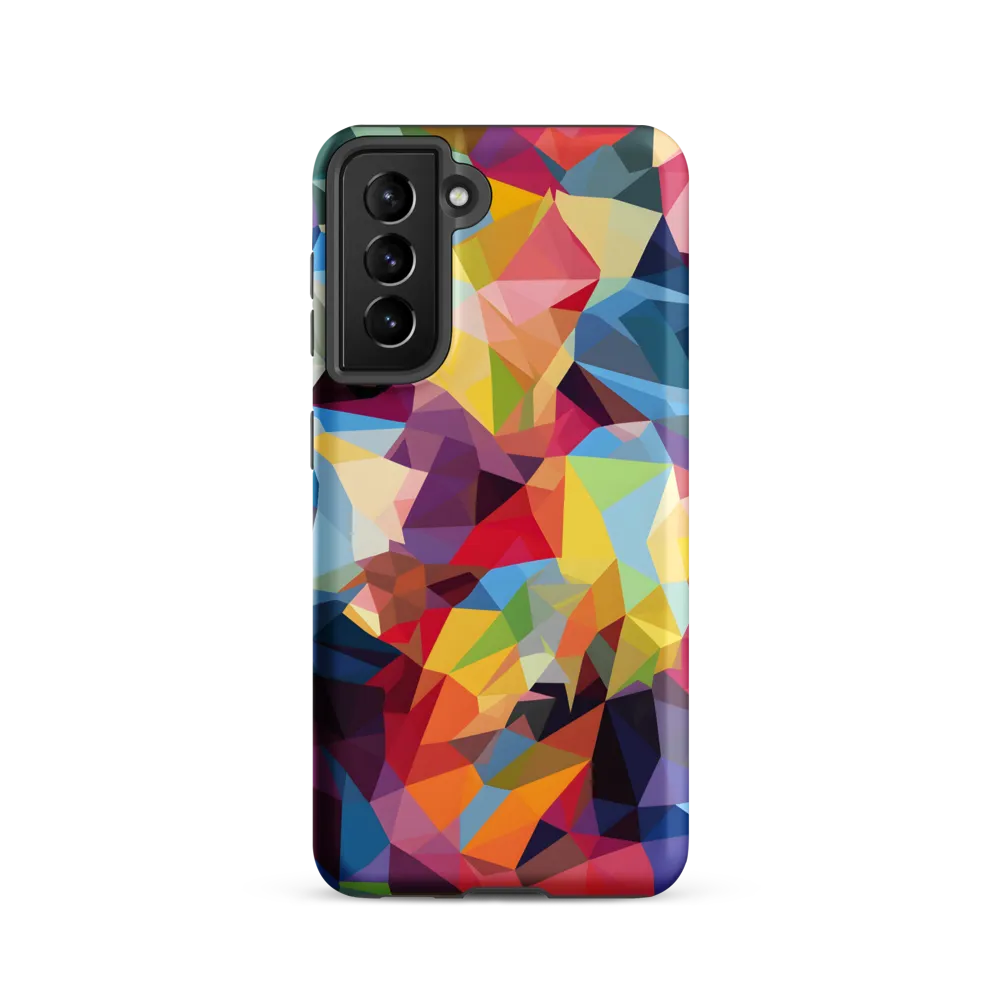 Playful Geometry: The Bear's Face