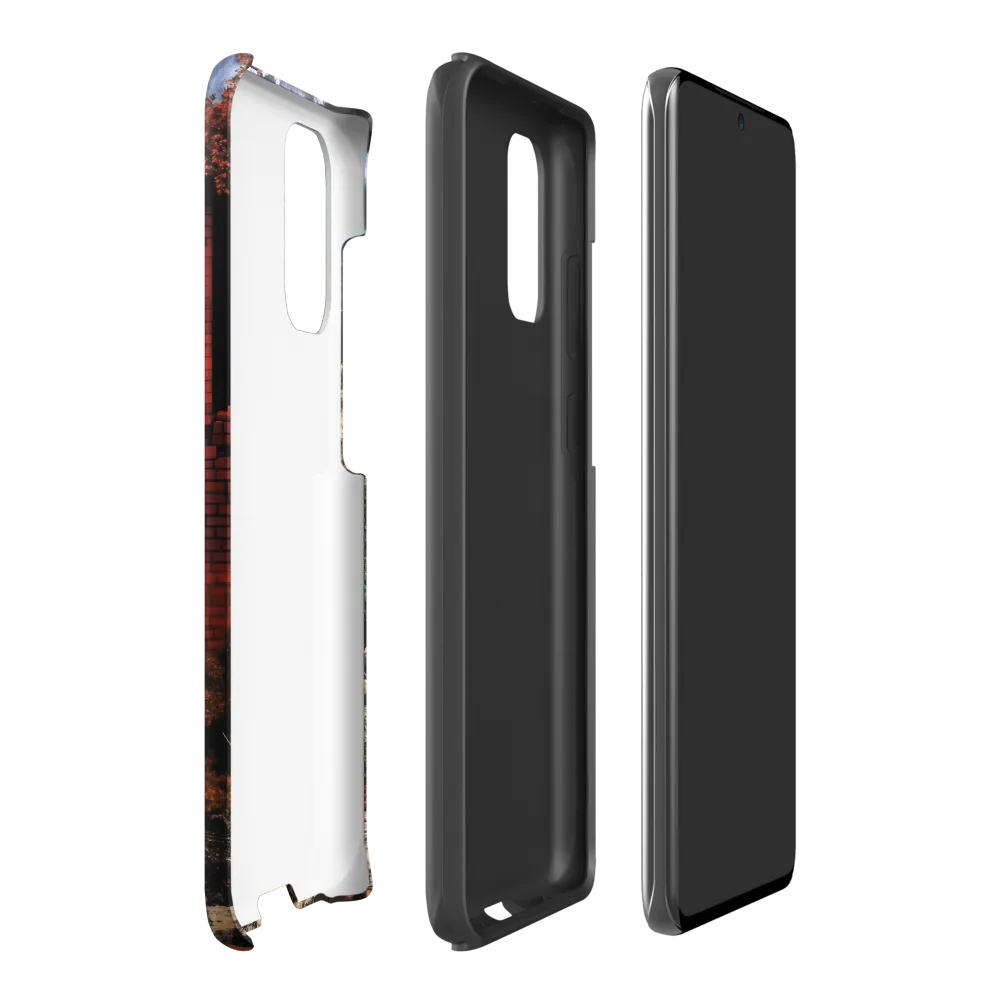 Resilience in Ruins | Phone Case |  S20 Plus | Tough Case | Matte