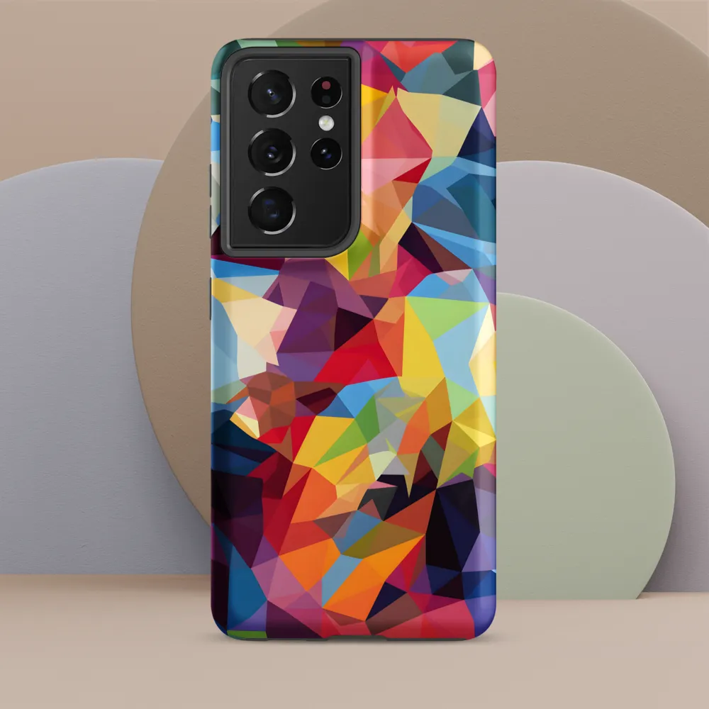 Playful Geometry: The Bear's Face