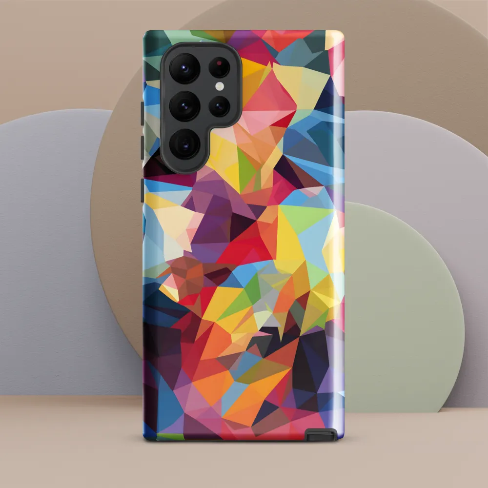 Playful Geometry: The Bear's Face