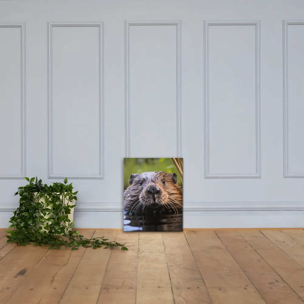 Emergence of the Beaver