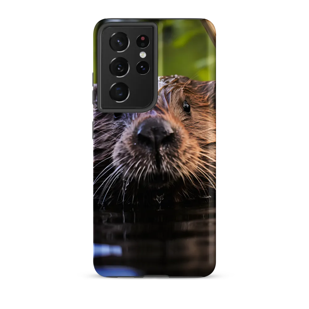 Emergence of the Beaver