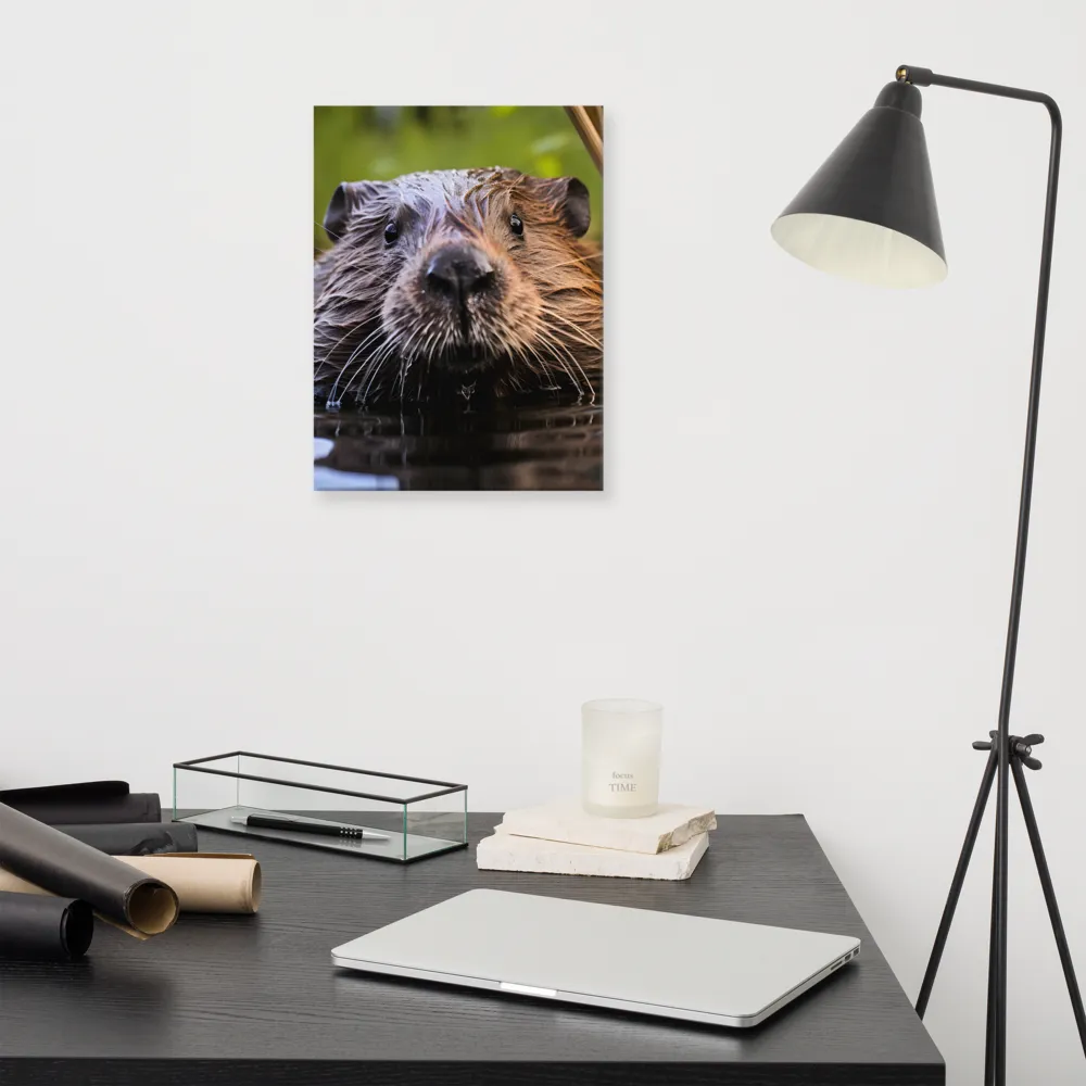 Emergence of the Beaver