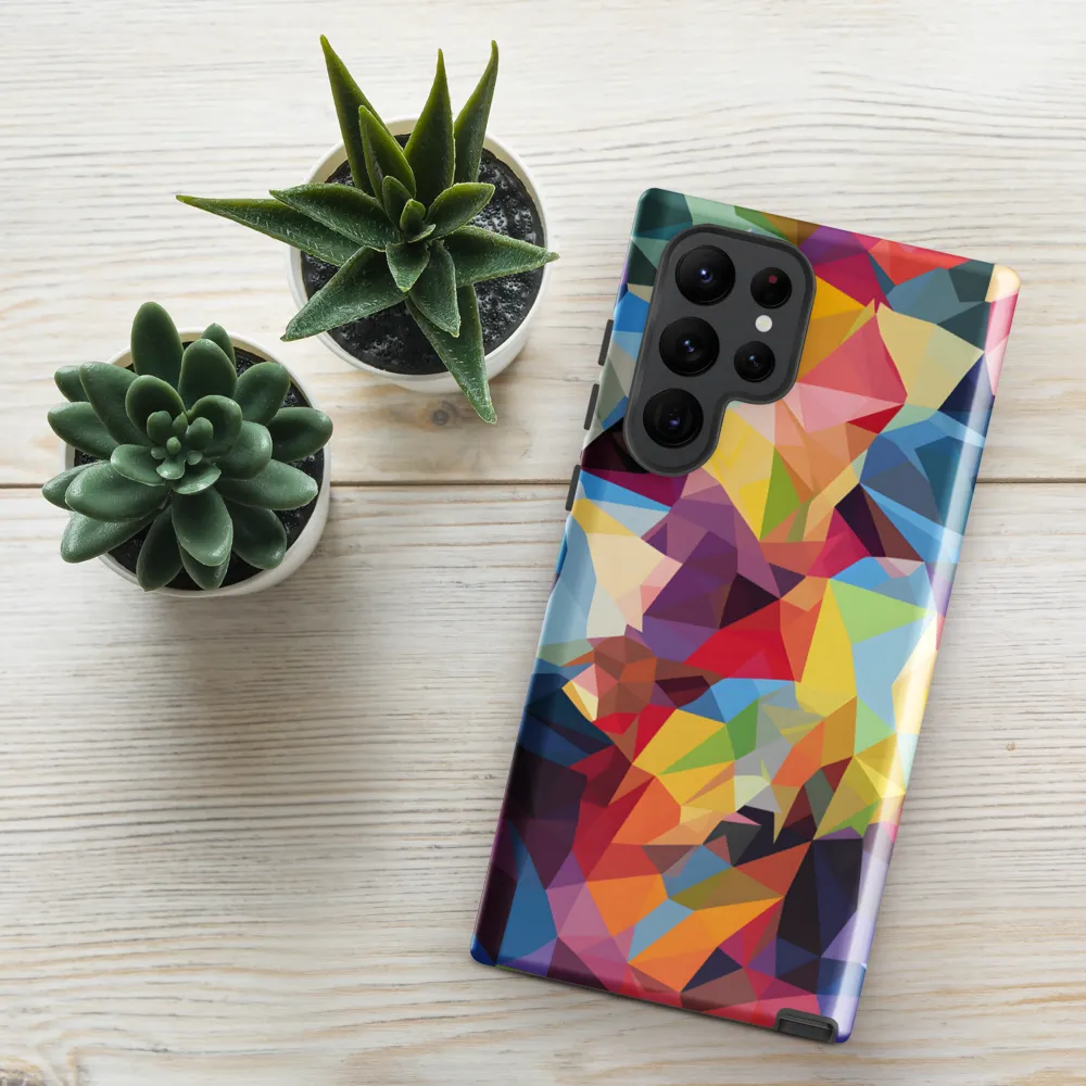 Playful Geometry: The Bear's Face