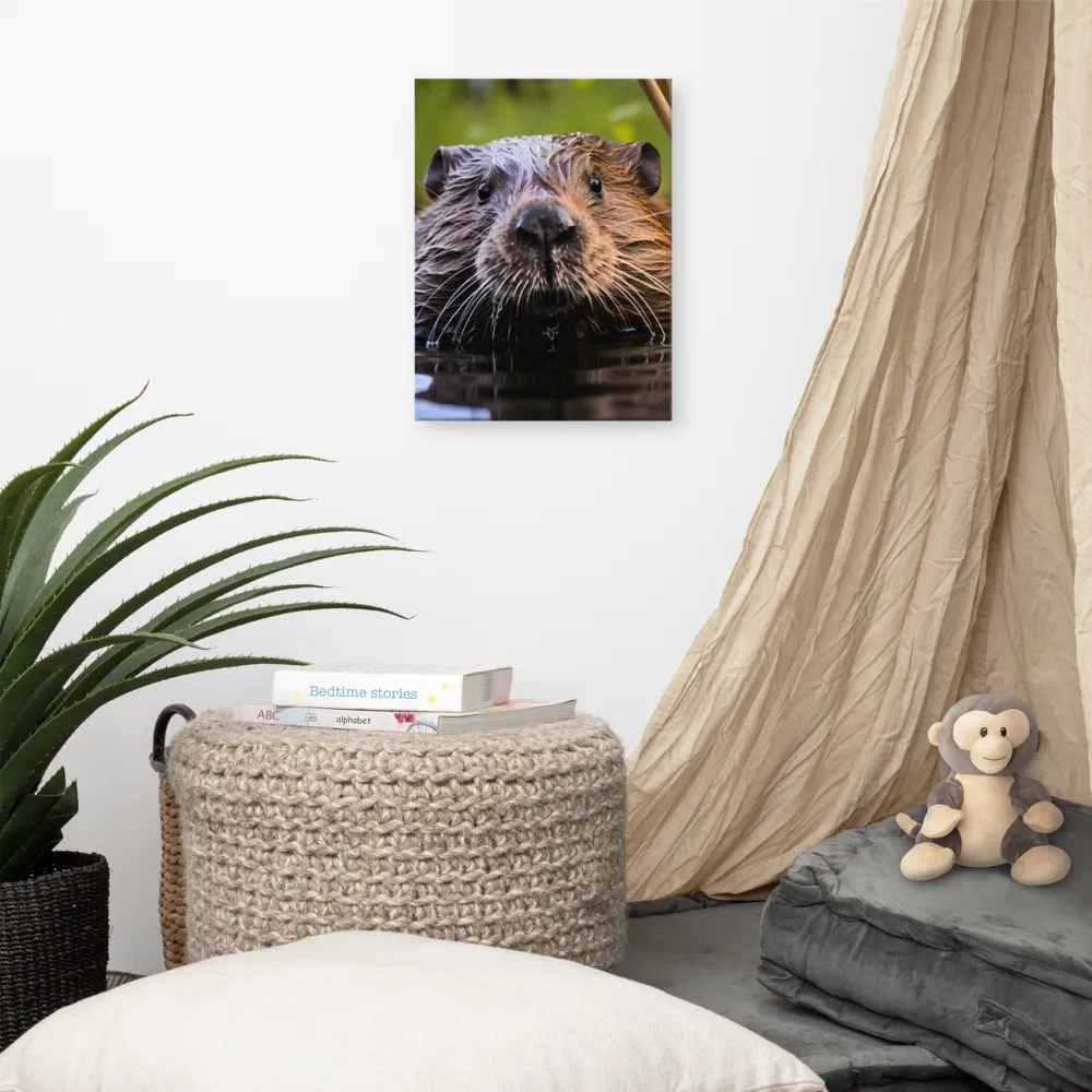Emergence of the Beaver