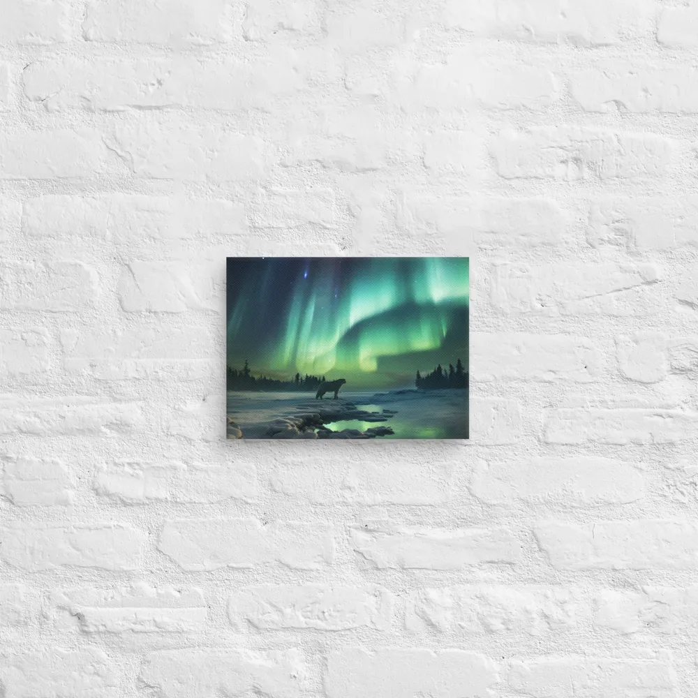 Auroral Guardianship