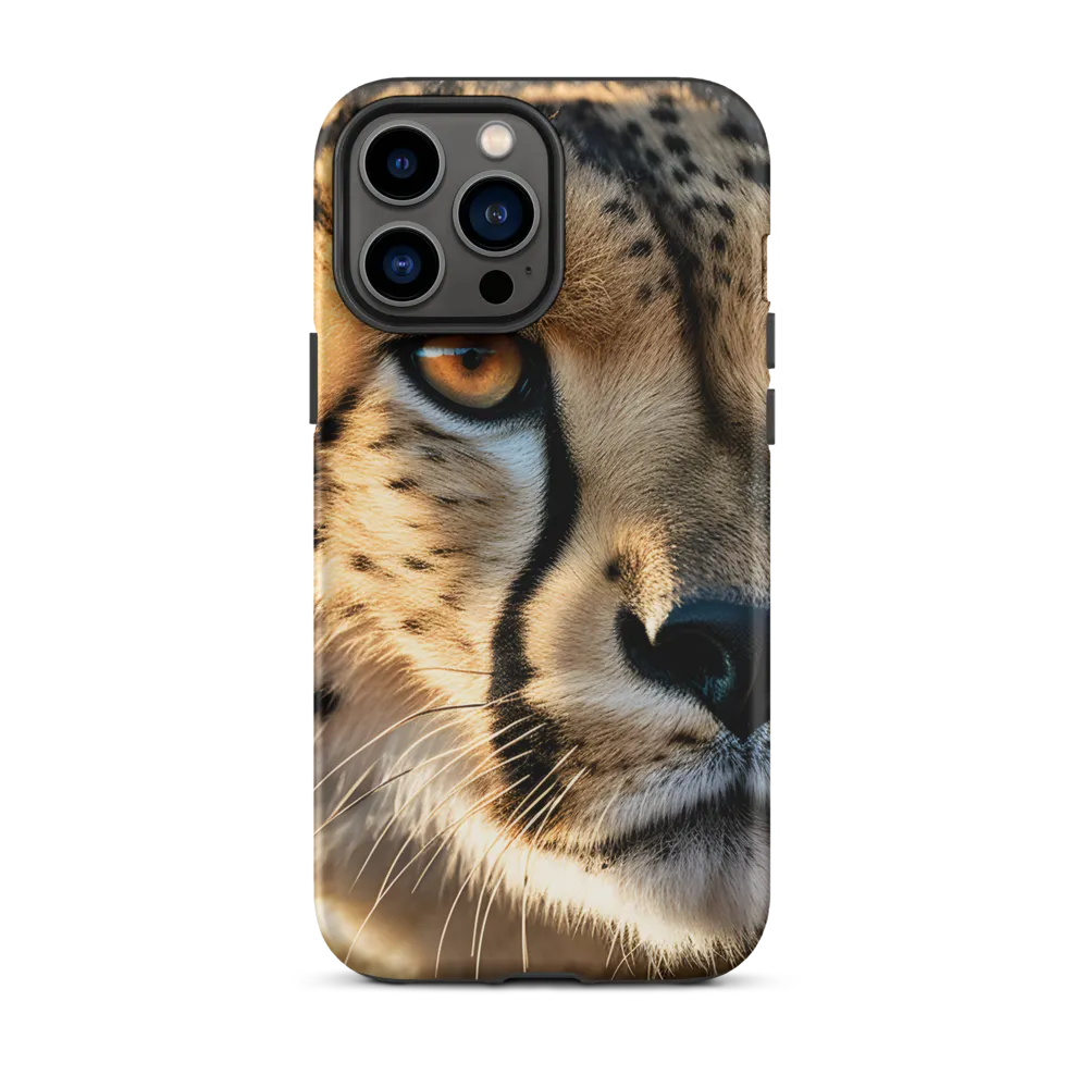 The Intense Gaze of the Cheetah