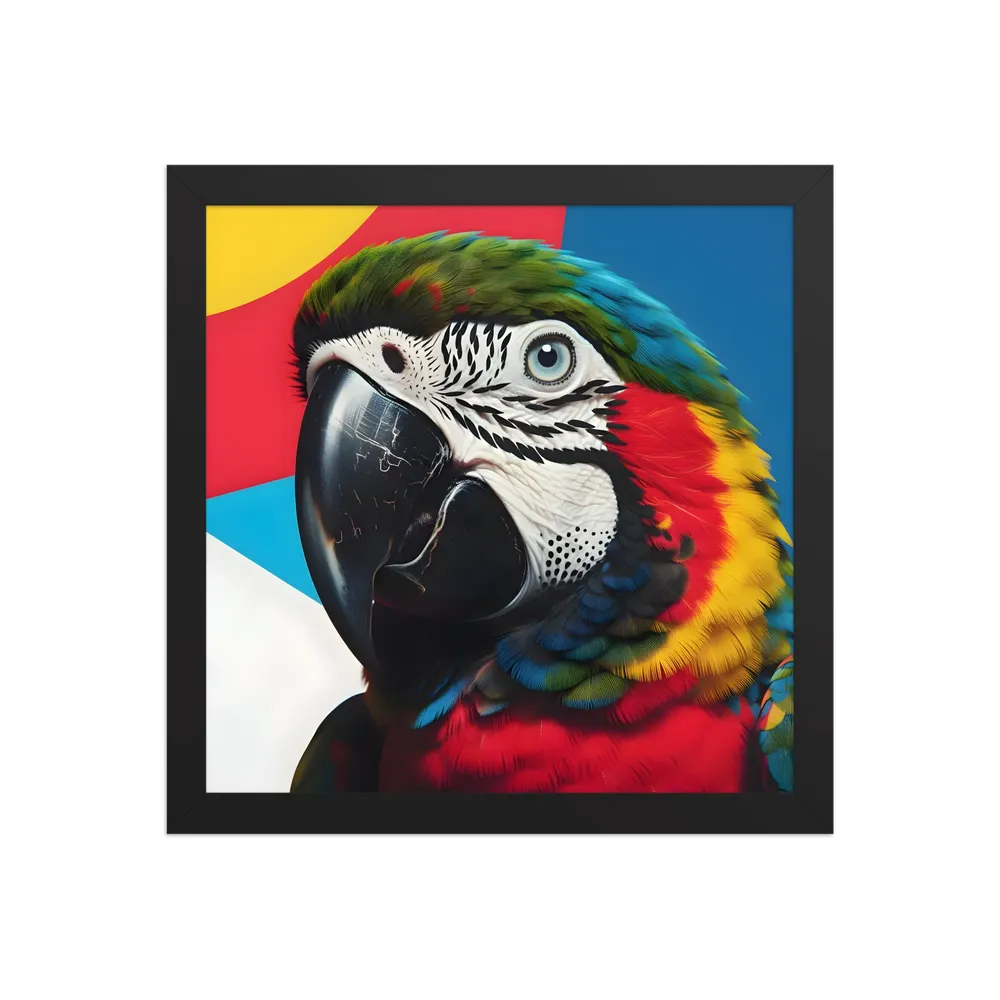 Scarlet Macaw Close-Up 
 Poster with Black Frame | 12″x 12″