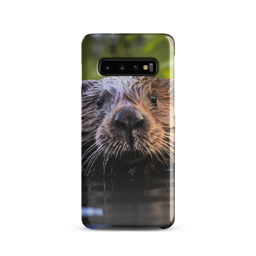 Emergence of the Beaver