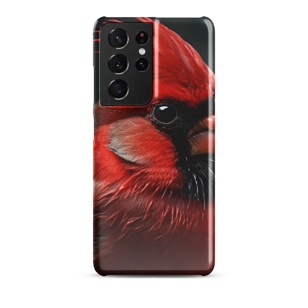The Bold Cardinal
