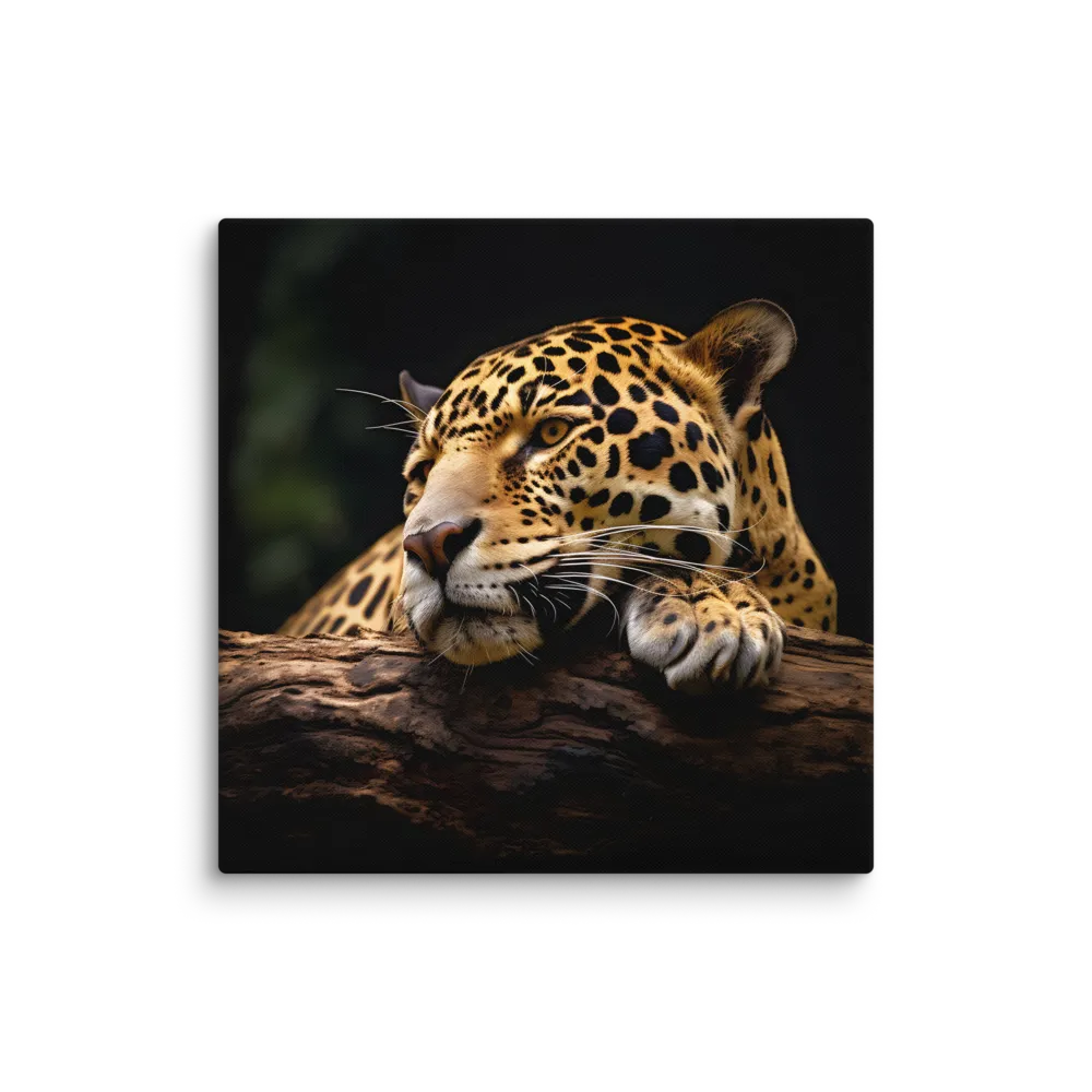 Tranquil Majesty: The Resting Leopard | Canvas | 32″×32″