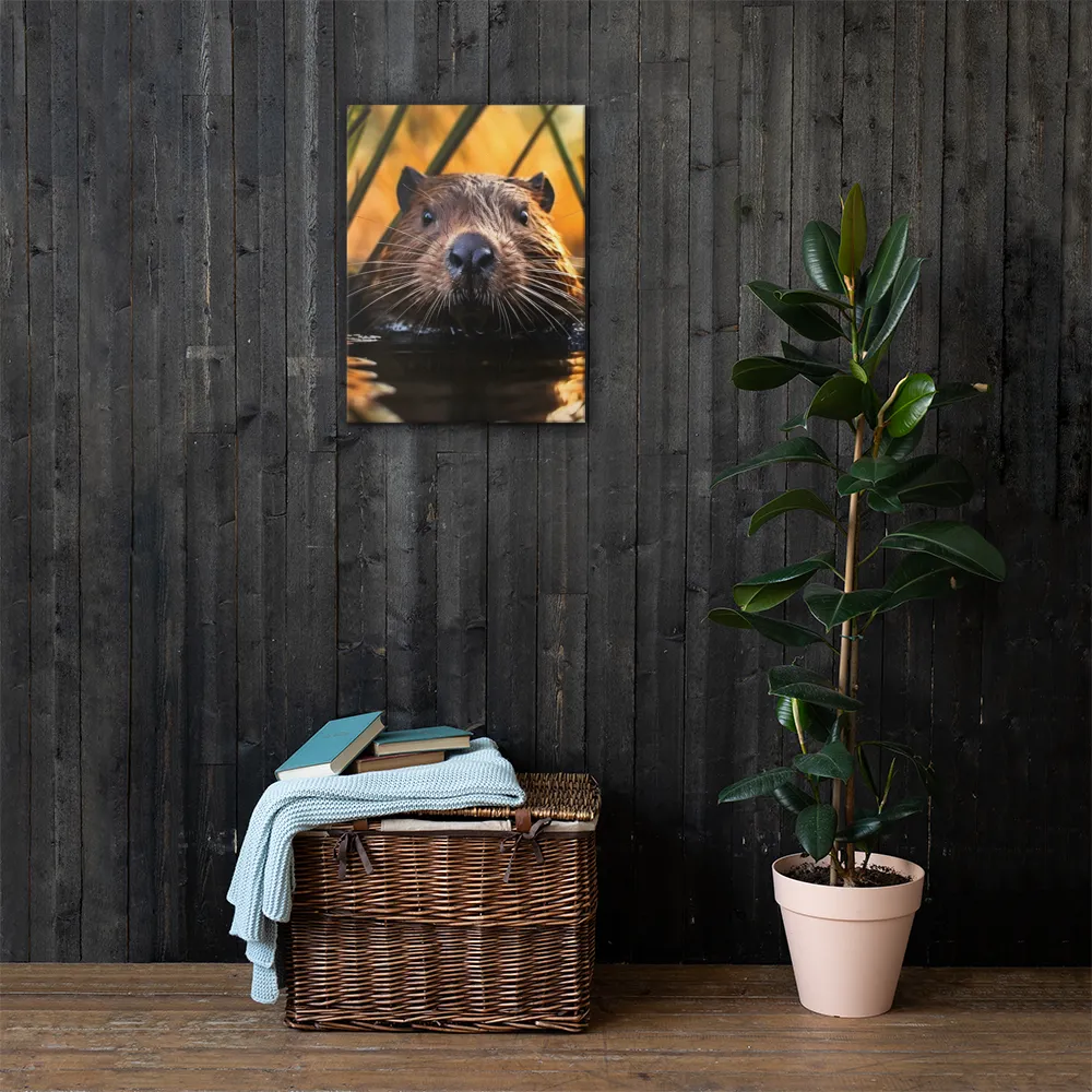 Beaver Serenity: A Natural Portrait