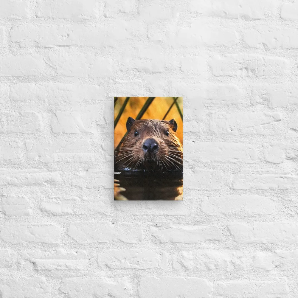 Beaver Serenity: A Natural Portrait