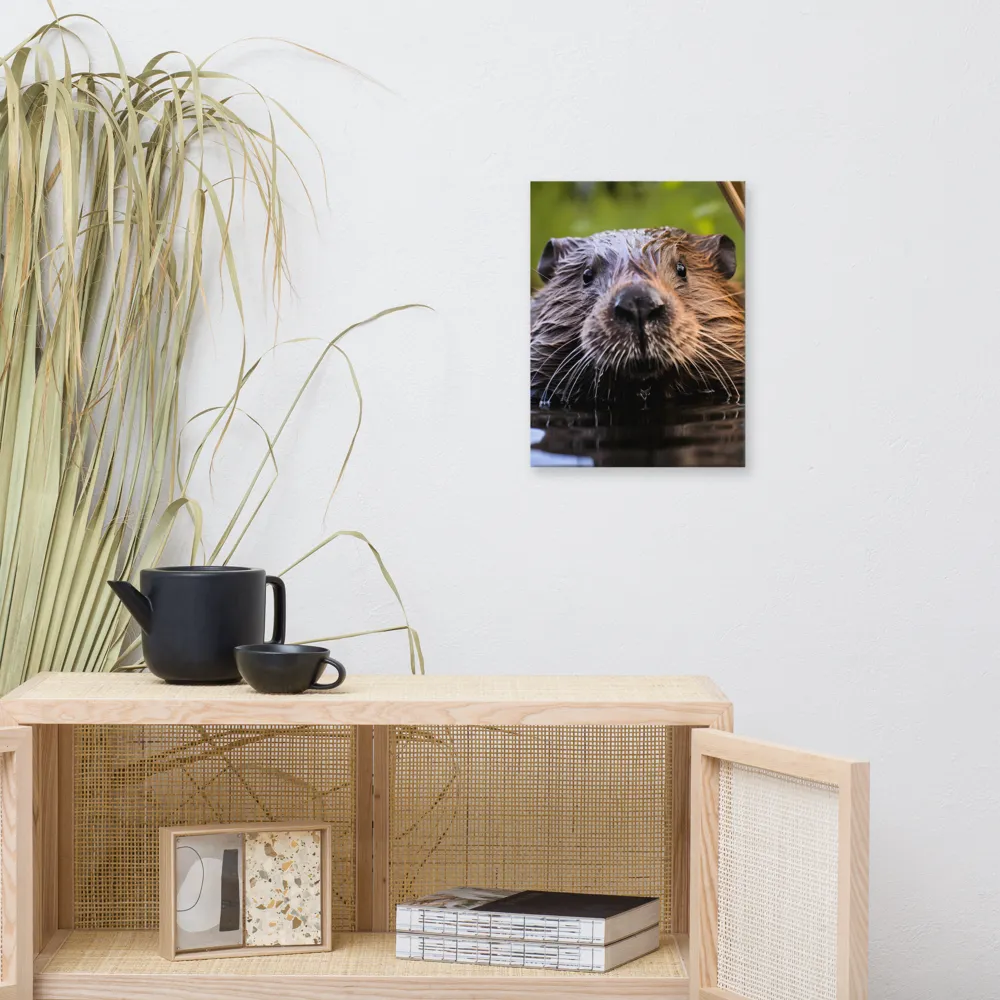 Emergence of the Beaver