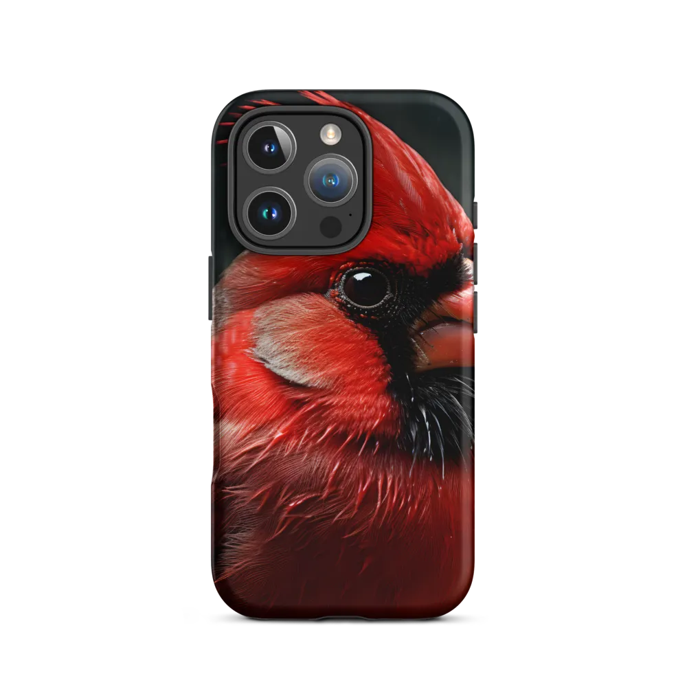 The Bold Cardinal