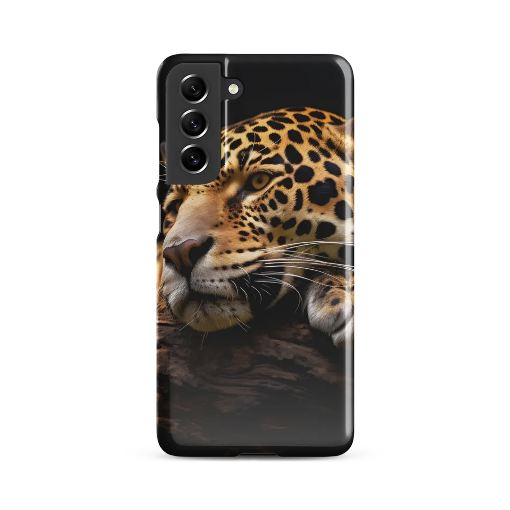 Tranquil Majesty: The Resting Leopard