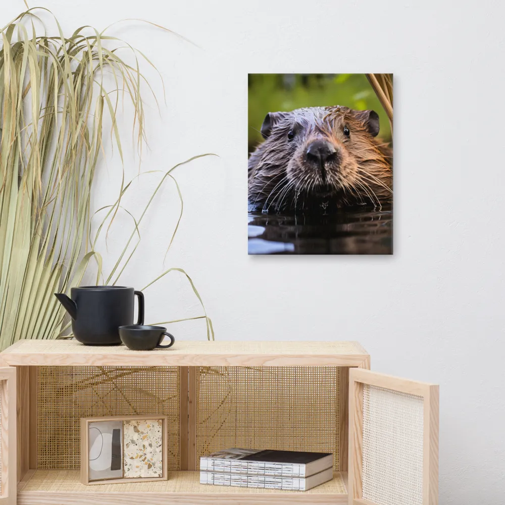 Emergence of the Beaver