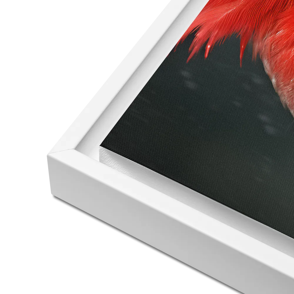 The Bold Cardinal