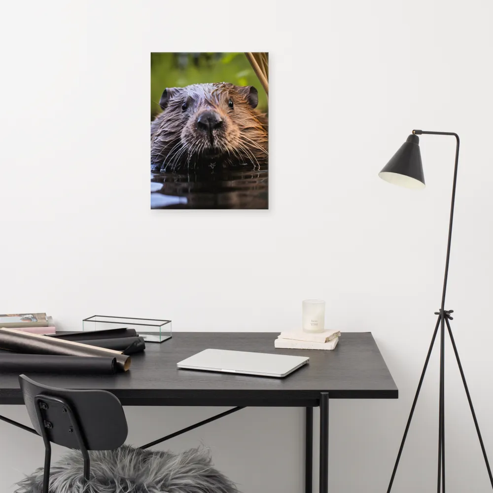 Emergence of the Beaver