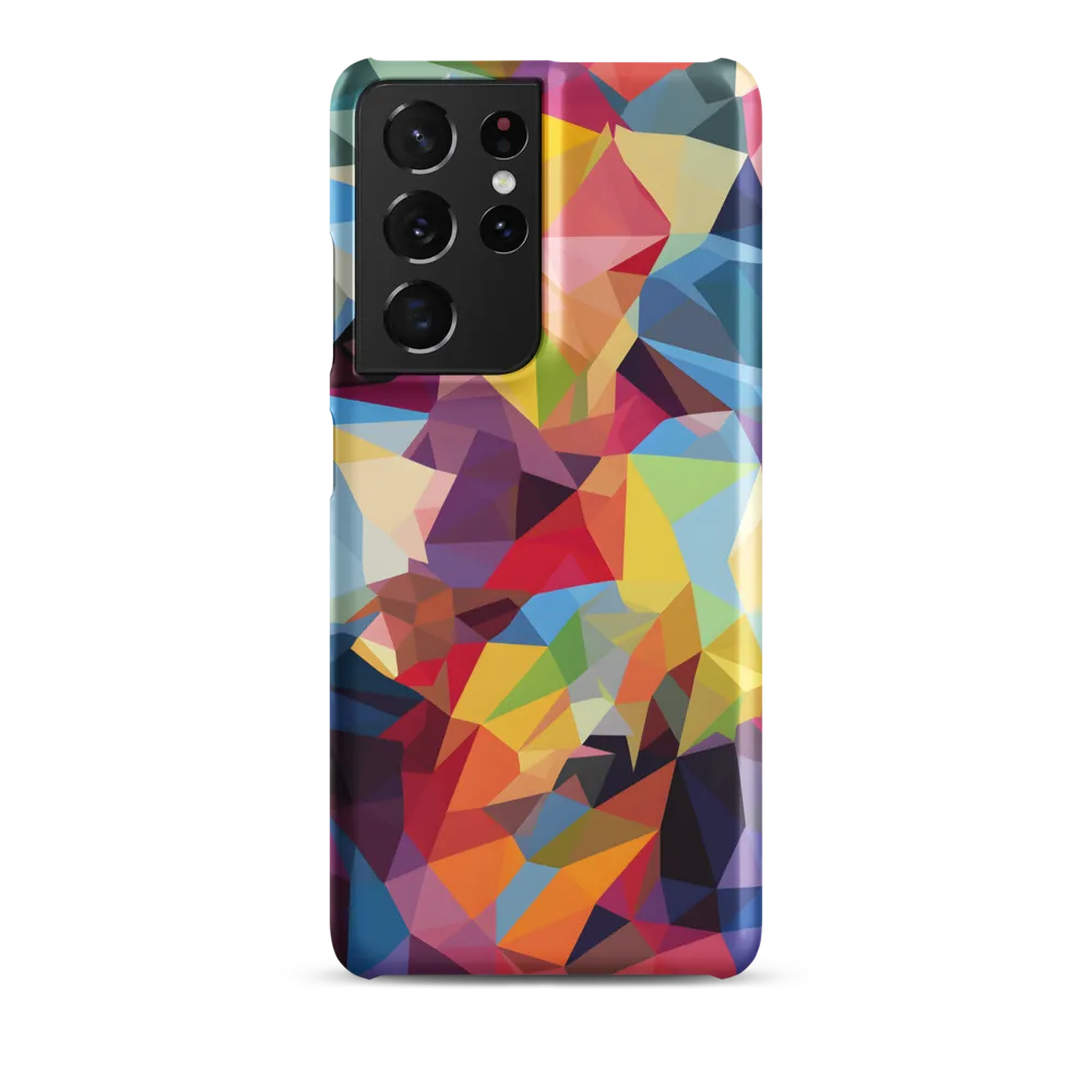 Playful Geometry: The Bear's Face