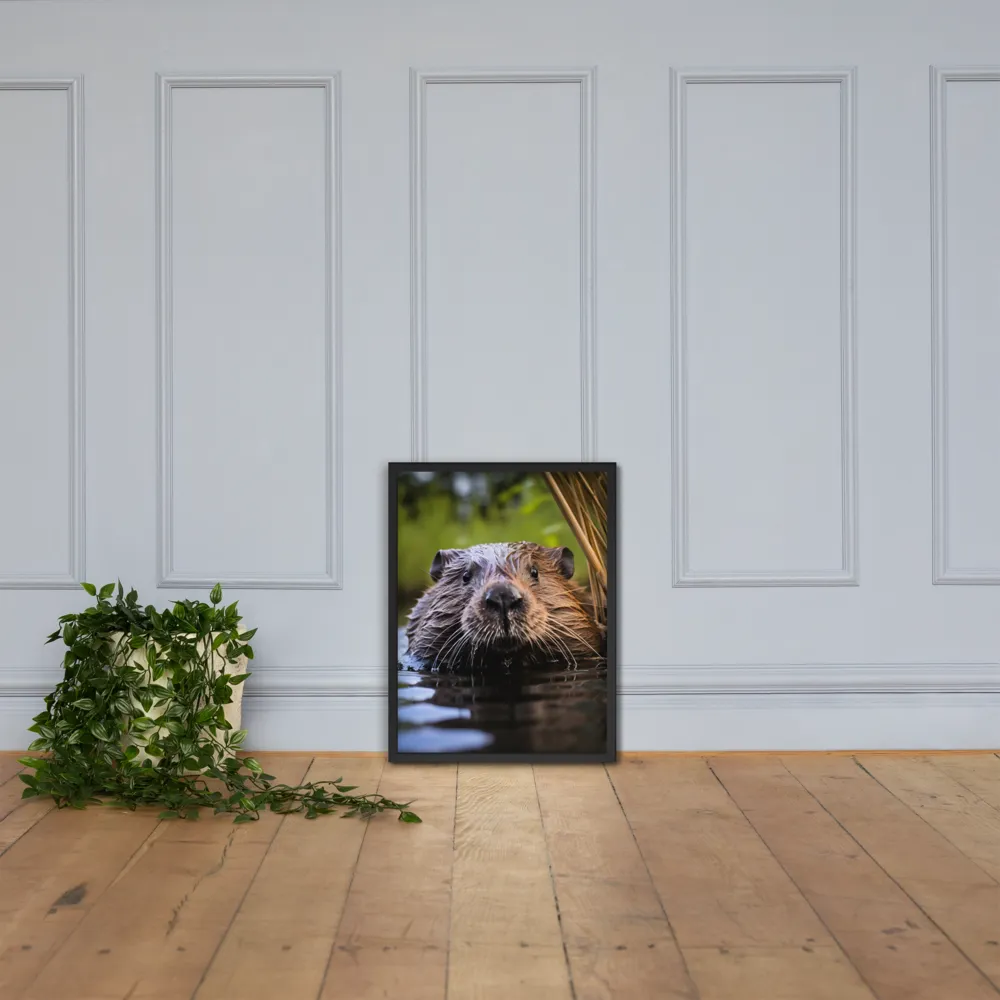 Emergence of the Beaver