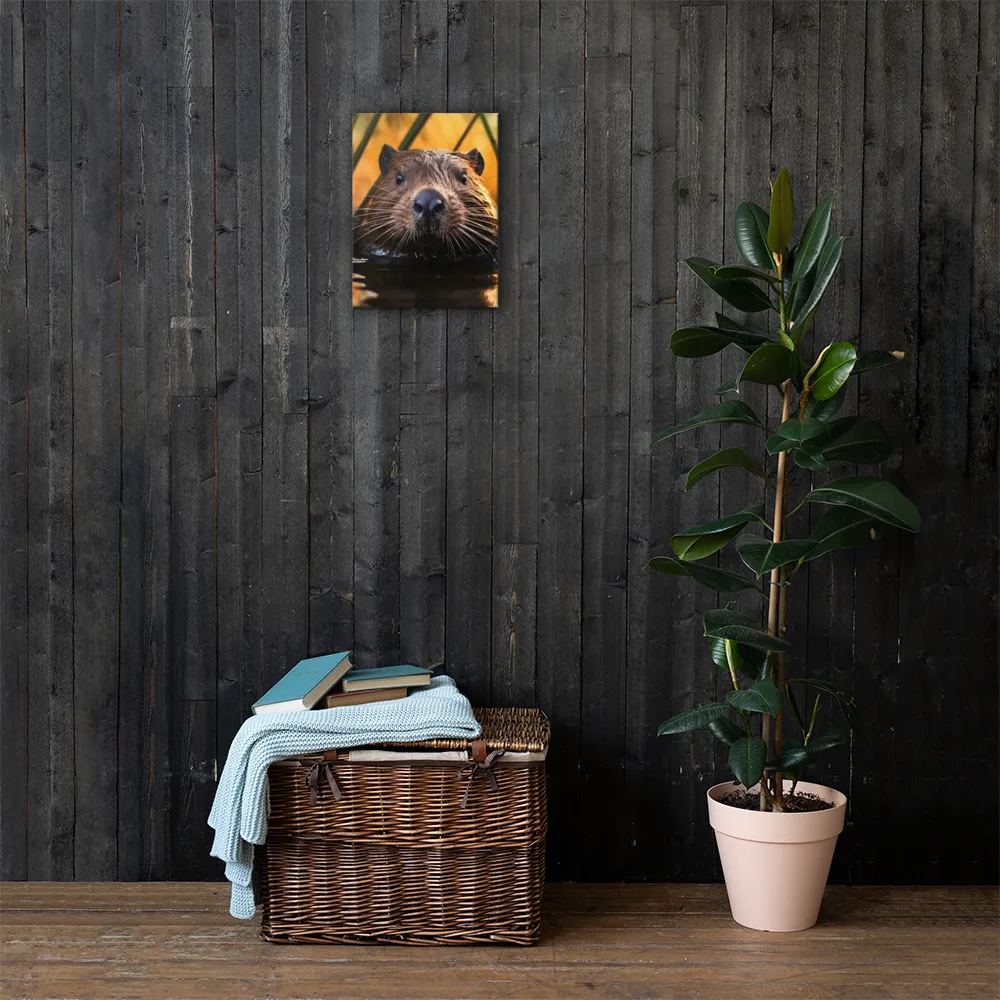 Beaver Serenity: A Natural Portrait | Canvas | 12″×16″