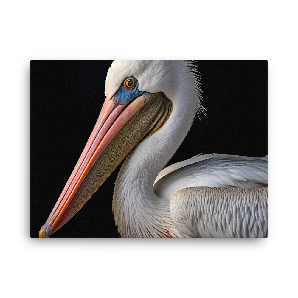 Elegance in White: The Pelican | Thin Canvas | 18″×24″