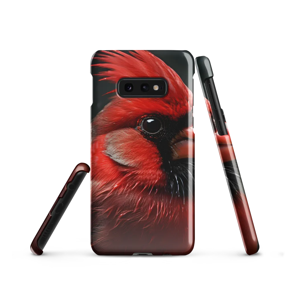 The Bold Cardinal