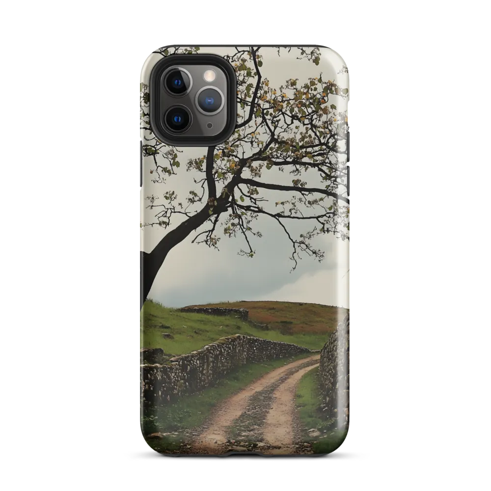 Serenity Along the Winding Path | Phone Case |  11 Pro Max | Tough Case | Glossy