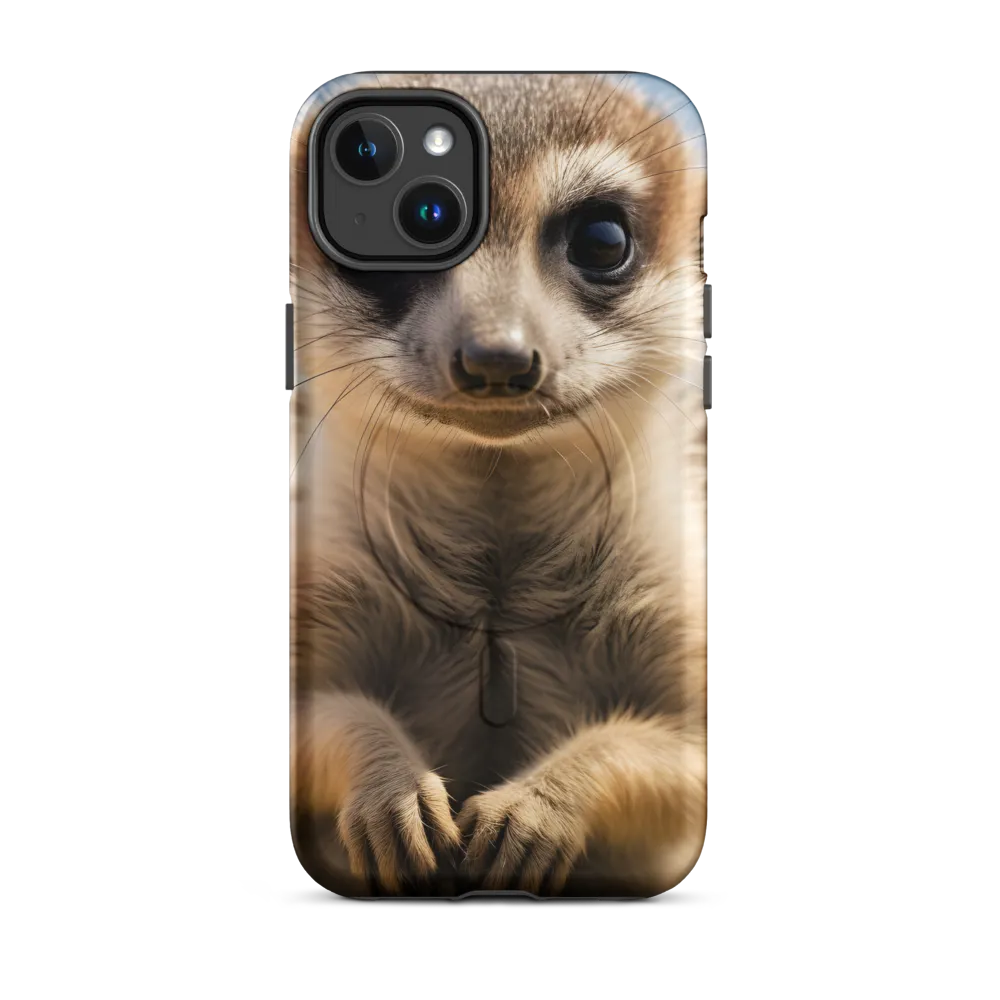 Curious Stance: The Meerkat's Gaze
