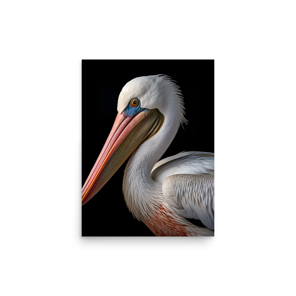 Elegance in White: The Pelican | Poster | 12″×16″