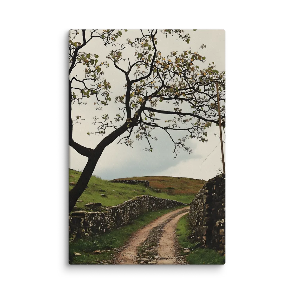 Serenity Along the Winding Path | Canvas | 32″×48″